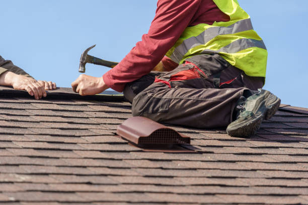 Best Roof Maintenance Services  in Brass Castle, NJ