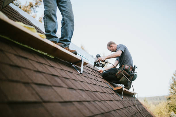Best Gutter Installation and Roofing  in Brass Castle, NJ